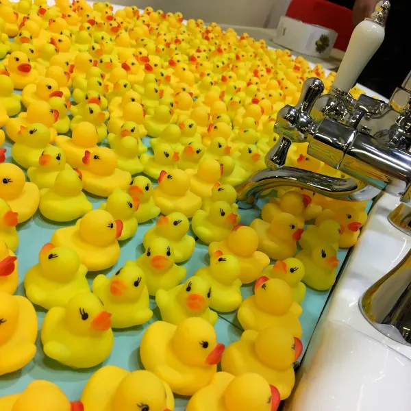Ducks and de-stress