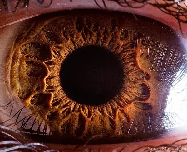 I see you…