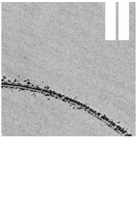 Coast Arts